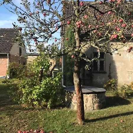 Holiday home Mochowsee Schwielochsee