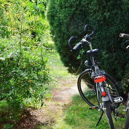 Mochowsee * Швилохзе