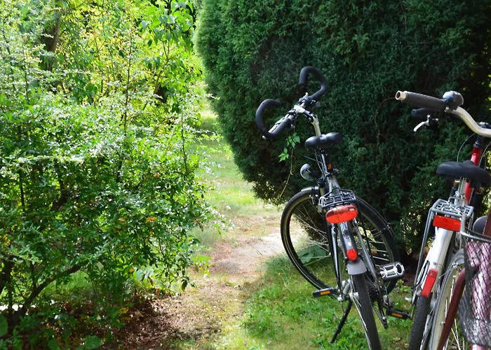 Mochowsee * شفيلوشسي